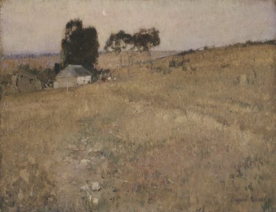 A Summer Evening by David Davies